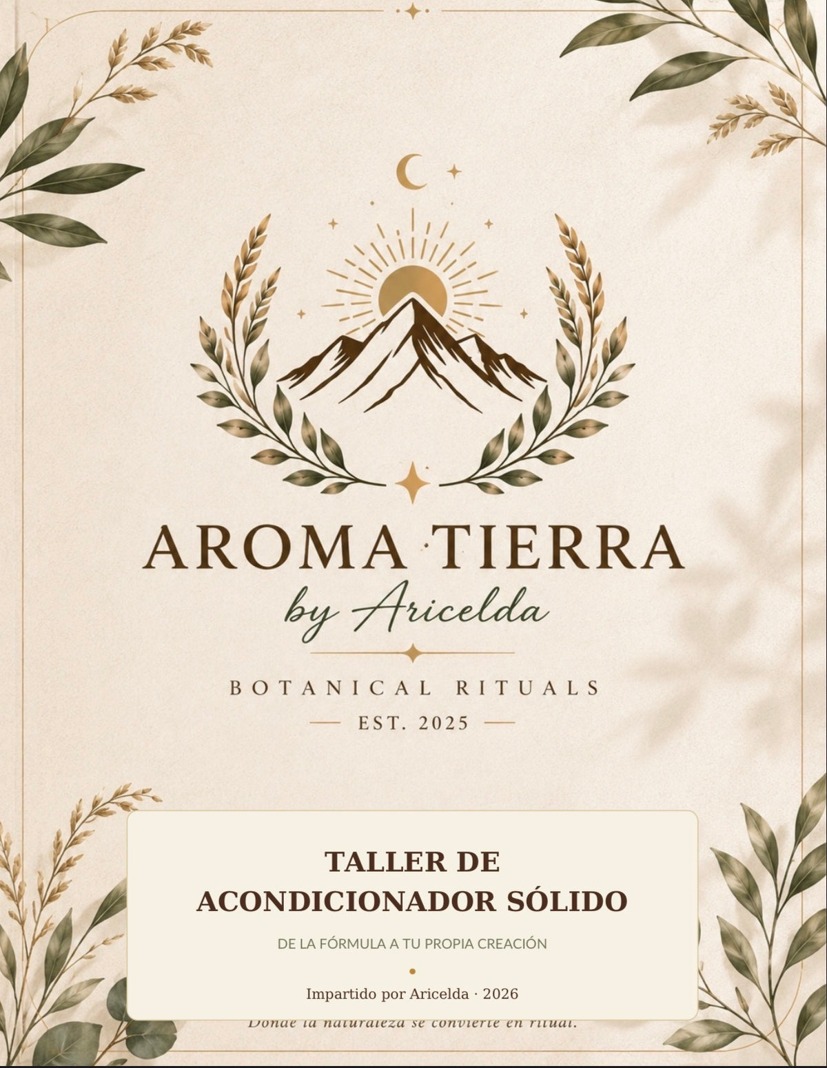 Taller de Acondicionador Sólido